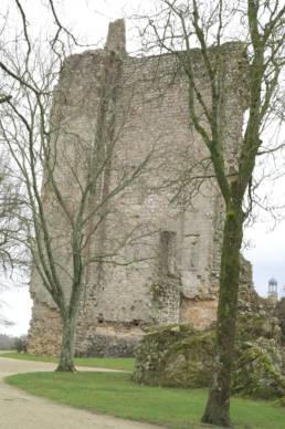 Château de Domfront
