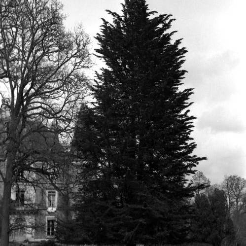 Château d'Apigné